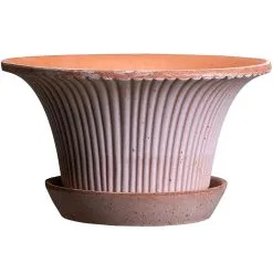 Bergs Potter Daisy Pot With Saucer Rosa Ø25 Cm