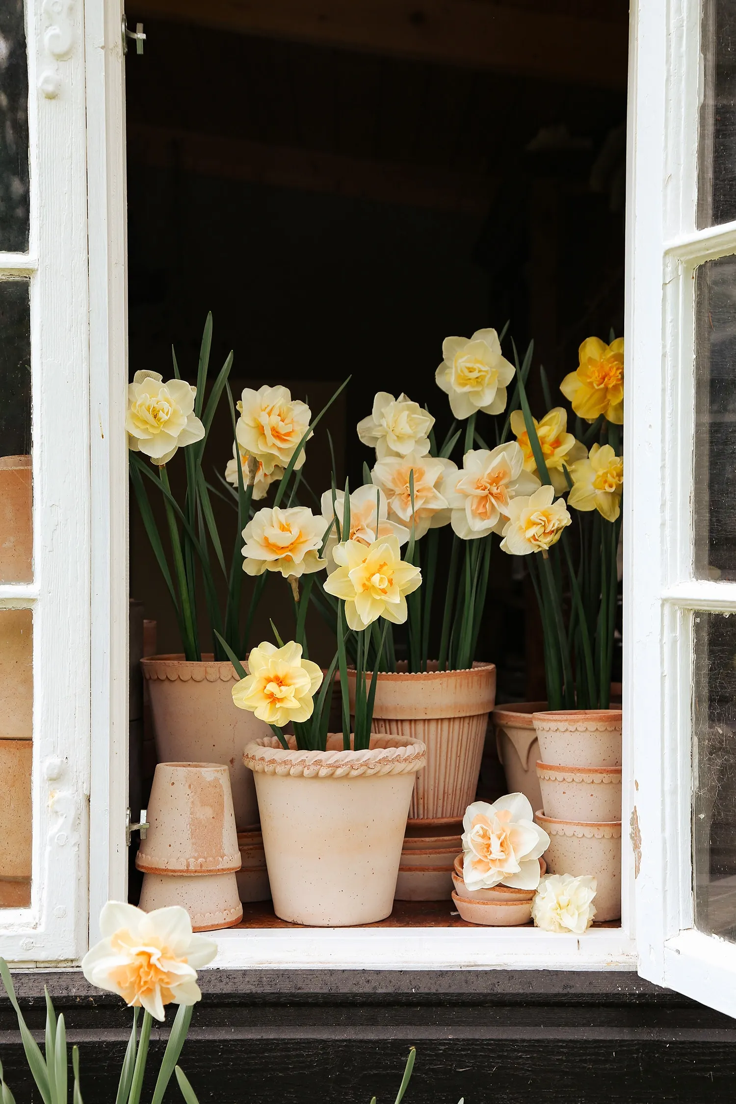 Bergs Potter Emilia Pot Rose Ø18 Cm 2 Bergs Potter Emilia Pot Rose Ø18 Cm - Image 2