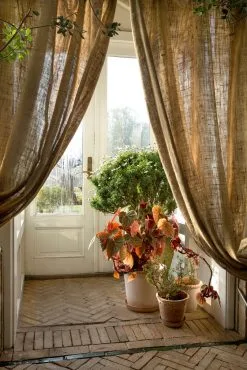 Bergs Potter Emilia Pot Rose Ø18 Cm 9 Bergs Potter Emilia Pot Rose Ø18 Cm -Cheap Sagaform Store bergs potter emilia pot rose 10 5