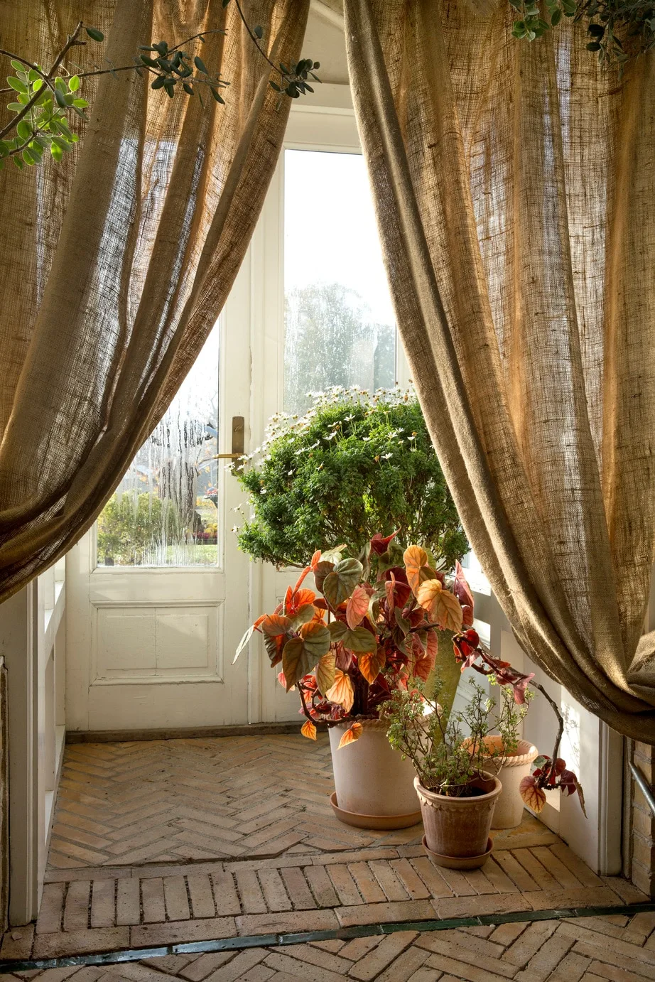 Bergs Potter Emilia Pot Rose Ø18 Cm 4 Bergs Potter Emilia Pot Rose Ø18 Cm - Image 4