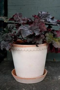 Bergs Potter Helena Pot Rose, 25 Cm -Cheap Sagaform Store bergs potter helena pot rose 6