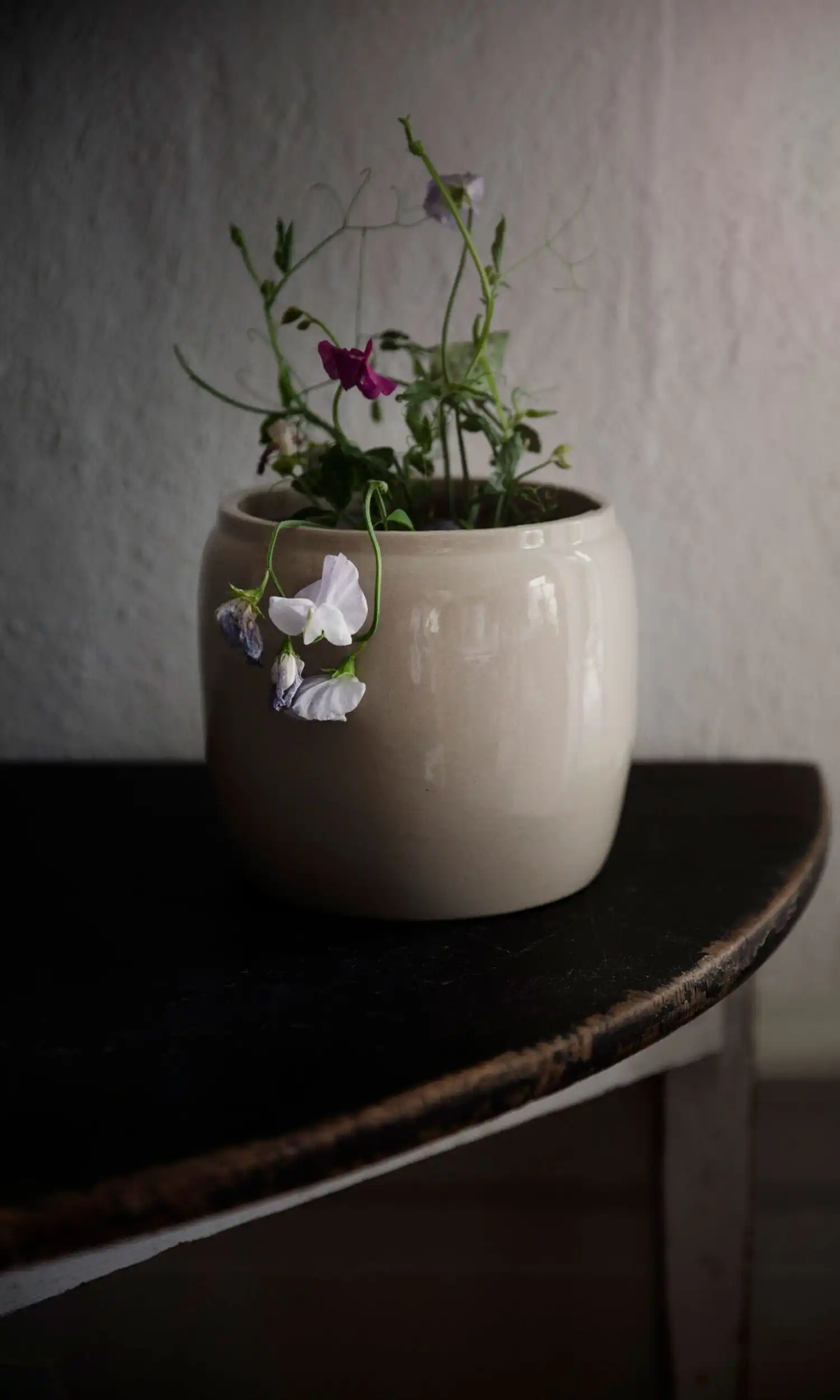 Ernst Pot Glazed Stoneware Ø22,5 Cm, Beige 2 Ernst Pot Glazed Stoneware Ø22,5 Cm, Beige - Image 2