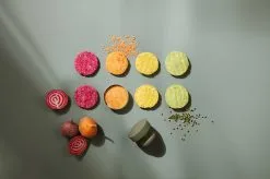 Eva Solo Hamburger Press Green Tool -Cheap Sagaform Store eva solo hamburger press green tool 4