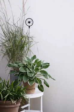 Eva Solo Thermometer Standing -Cheap Sagaform Store eva solo thermometer standing 2