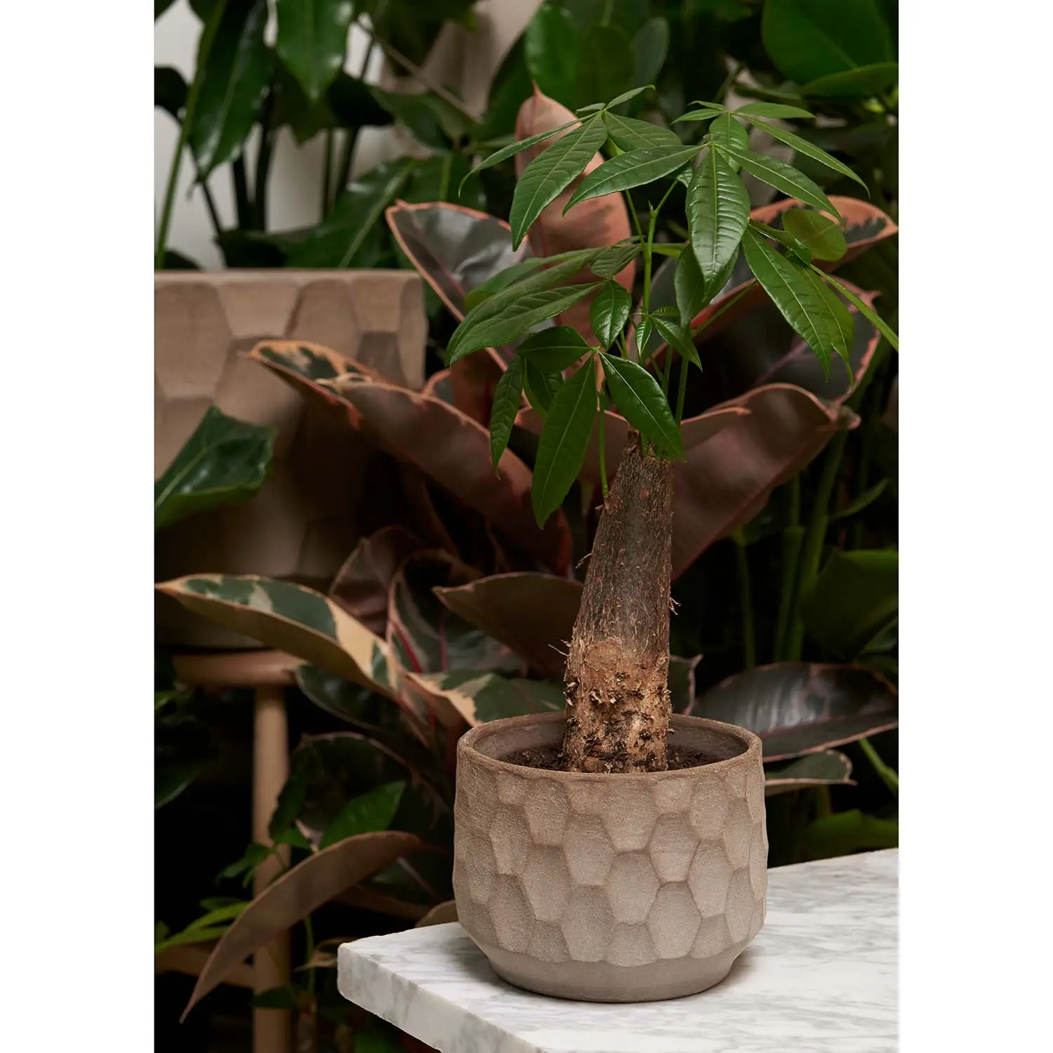 Kähler Gro Flowerpot 26,5 Cm, Light Sand 2 Kähler Gro Flowerpot 26,5 Cm, Light Sand - Image 2