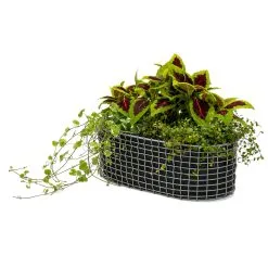 Korbo Flower Box 49x20 Cm, Galvanised Steel