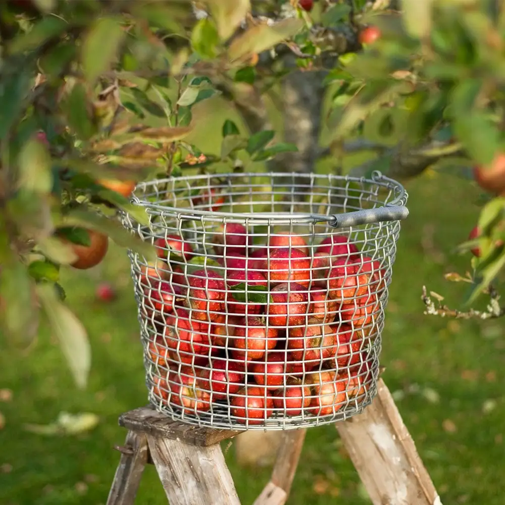 Korbo Bucket 24 Basket, Acid Proof Stainless Steel 2 Korbo Bucket 24 Basket, Acid Proof Stainless Steel - Image 2