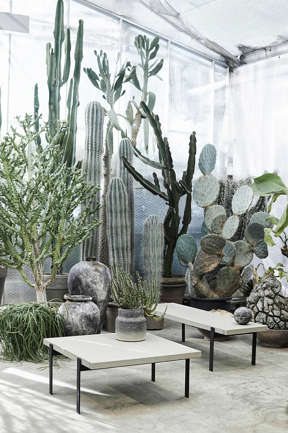 Muubs Kanji Decorative Pot, 22 Cm 5 Muubs Kanji Decorative Pot, 22 Cm - Image 5