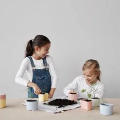 RIG TIG Your Tree Degradable Pot With Seed, Pink 7 RIG TIG Your Tree Degradable Pot With Seed, Pink -Cheap Sagaform Store rig tig by stelton your tree degradable pot with seed 12 1