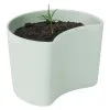RIG TIG Your Tree Degradable Pot With Seed, Green