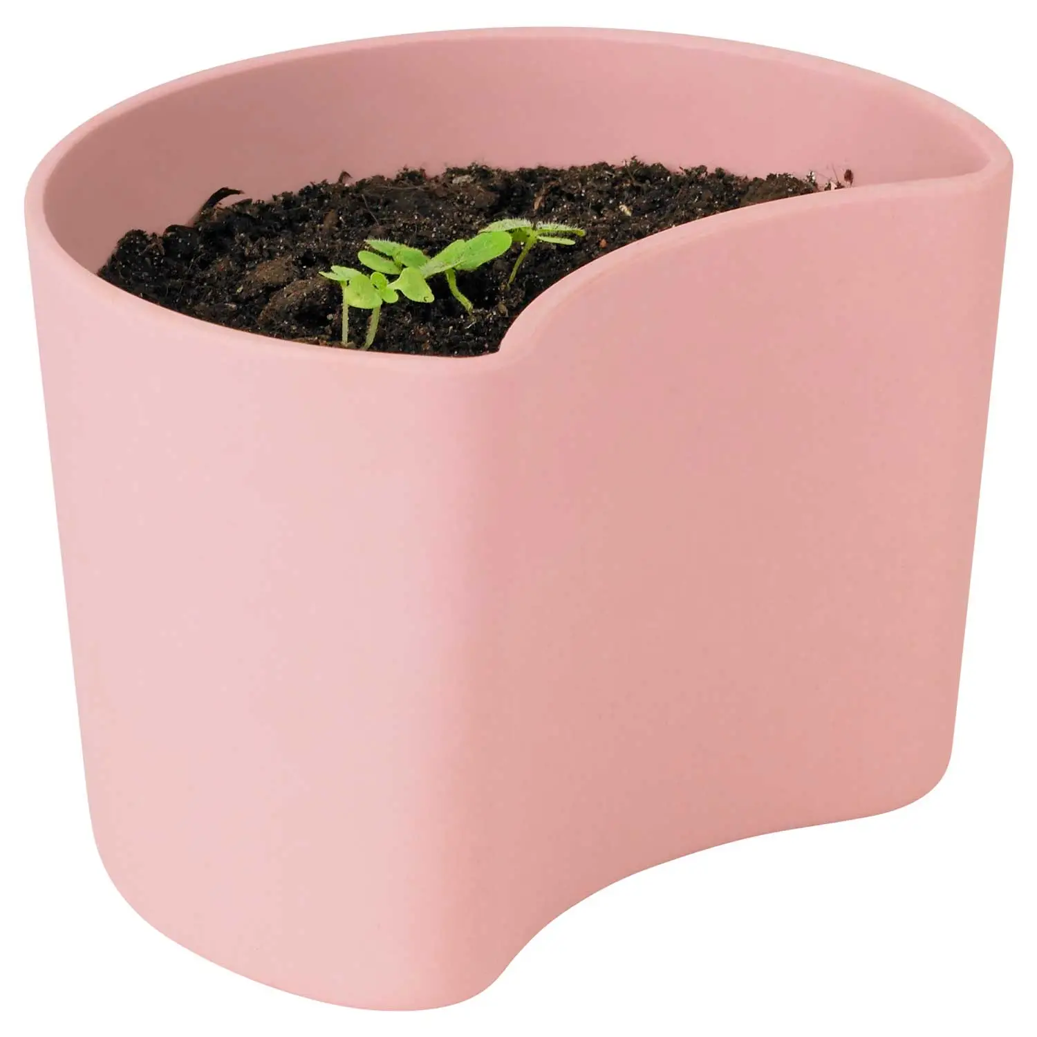 RIG TIG Your Tree Degradable Pot With Seed, Pink 1 RIG TIG Your Tree Degradable Pot With Seed, Pink