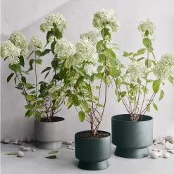 Rosendahl Copenhagen Ro Pot Dark Green, Ø15 Cm -Cheap Sagaform Store rosendahl copenhagen ro pot dark green 18