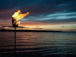 Röshults Fire Basket Original -Cheap Sagaform Store roshults fire basket original 11